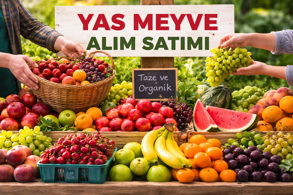 Yaş Meyve