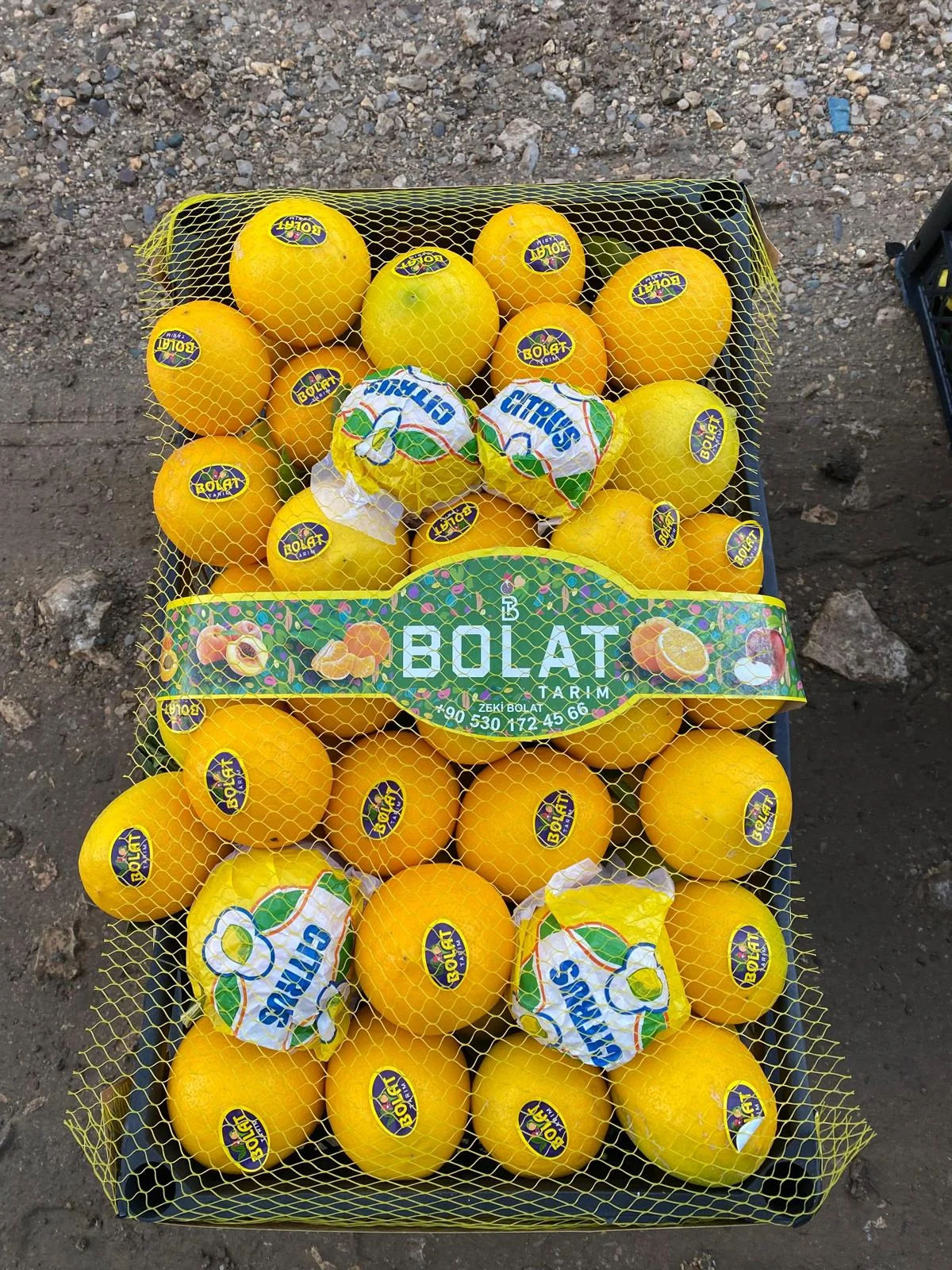 galeri_20260317_125847_630148b4ad66a6d37925